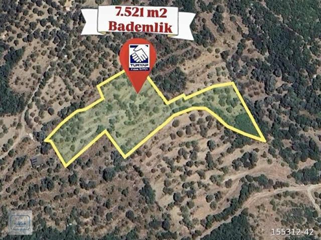 TURYAP FİDAN DAN HIZIRŞAH MAHALLESİNDE 7.521M2 SATILIK BADEMLİK