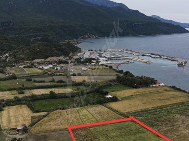TURYAP FİDAN DATÇA KARAKÖY DE DENİZE 200 M SATILIK 6983 M2 TARLA
