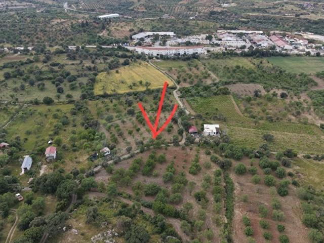 TURYAP FİDAN HIZIRŞAH TA YOLU OLAN 3795 m2 SATILIK TARLA