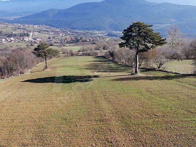 TURYAP SÜMER'DEN ABANT'A YAKIN SATILIK TARLA