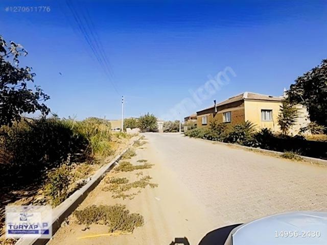 TURYAP TİRE'DEN MAHMUTLAR MAH SATILIK 4700 M2 ÇİFTLİK