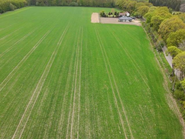 Turystyczna 3 000 m², Szczenurze