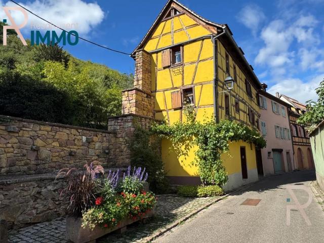Turckheim Maison rénovée avec magnifique jardin