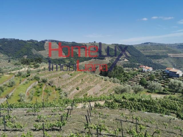 Turismo T8, Cumieira, Santa Marta de Penaguião | BPI Expresso Imobiliário