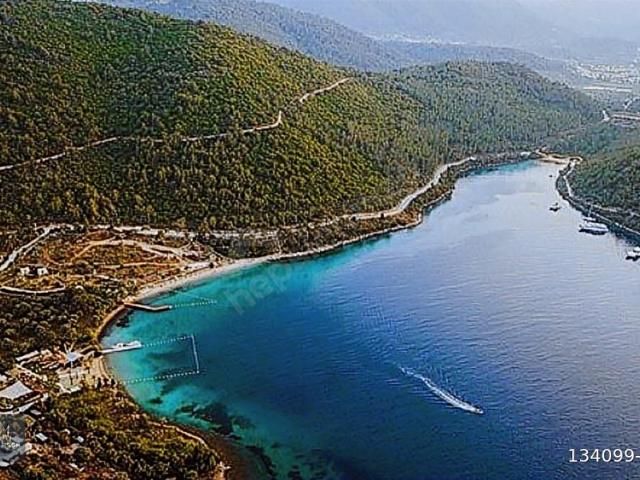 TÜRKBÜKÜ GÖLKÖY SATILIK DENİZE SIFIR ARSA