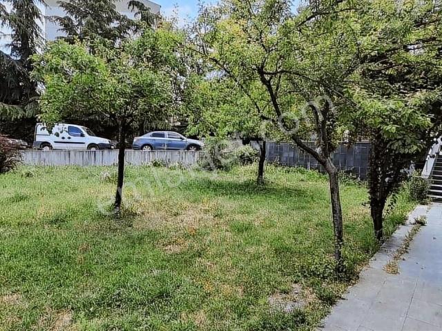 Turkuaz İş Merkezi'nde Giriş Katta En Güzel Konumda Şerefiyeli
