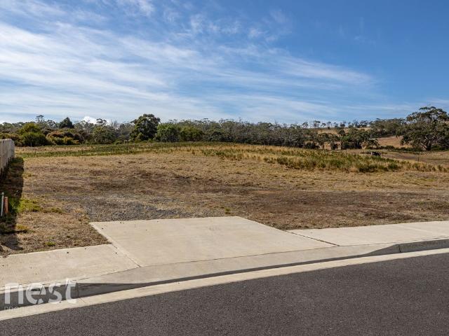 TURNING DREAMS INTO REALITY