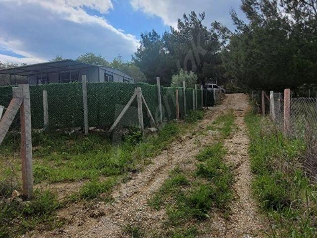 turpa vivadan çapakta satılık tarla
