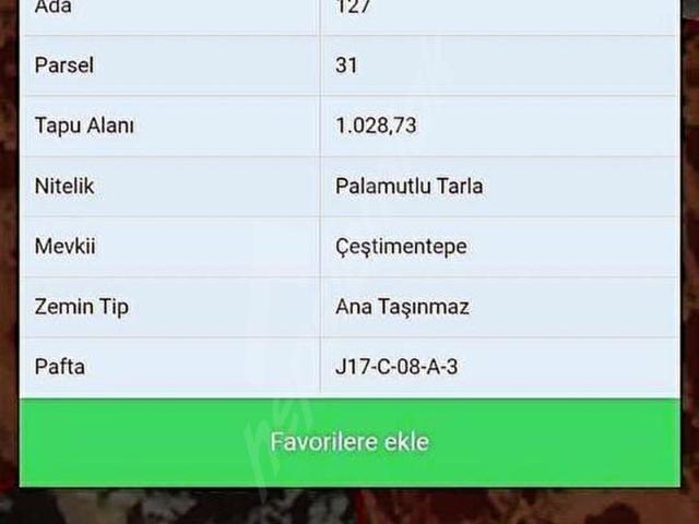 Turpa Arxesten Kiratli mahallesinde arsa Satilik