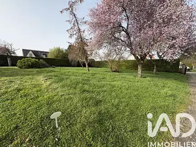 Turquant 49730 Achat / Vente terrain