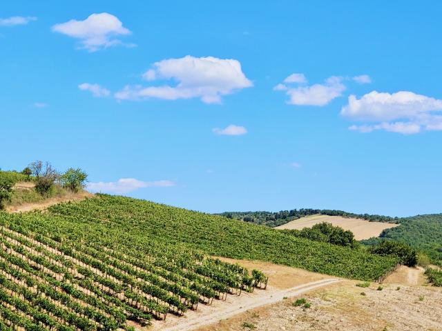 Villa on sale in Radda in Chianti 1 600 m² | dreamo. Ch