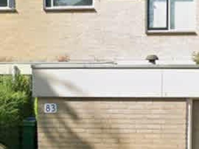 Tussenwoning in Amstelveen