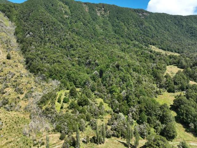 Tutaki Road South, Murchison, Tasman