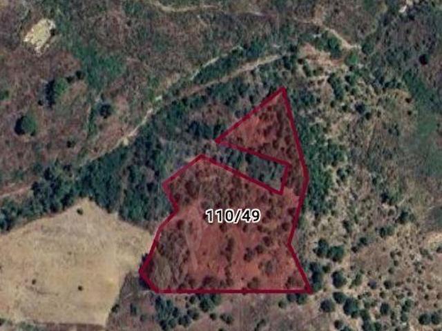 TÜZGEN EMLAK'TAN OLİMPOS YAZIR KÖYÜNDE 2000M2 SATILIK TARLA