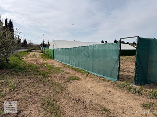 Tuzla Tepeörende Satılık Net 500 m2 Arsa Çevrili Kullanıma Hazır