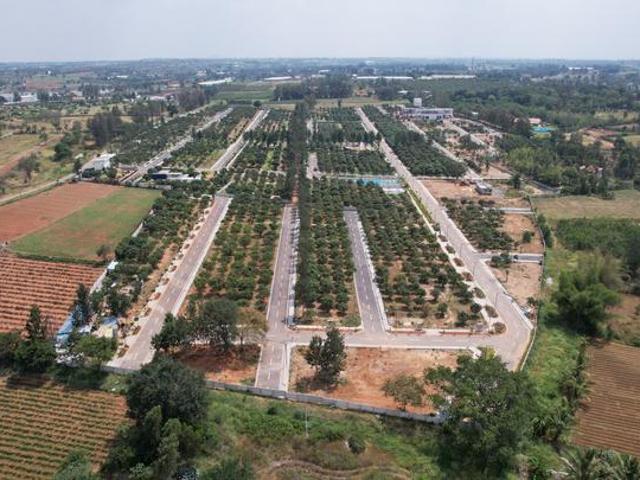 TVS Emerald The Estate,Bagalur Residential Plot For Sale Hosur