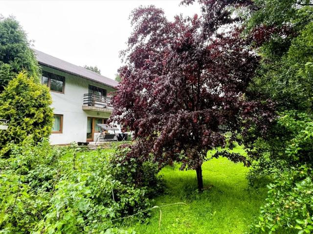 Tylicz, 250 m2