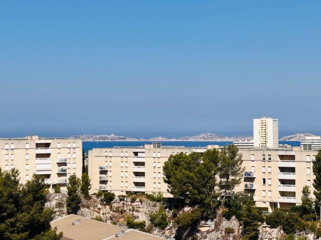 Type 1 29m2 13009 Marseille