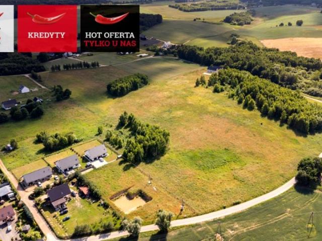 Żuławska 13 518 m², Lisewiec