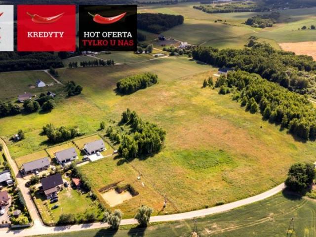 Żuławska 23 536 m², Lisewiec