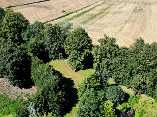 Działka 3 100 m², Cedry Małe
