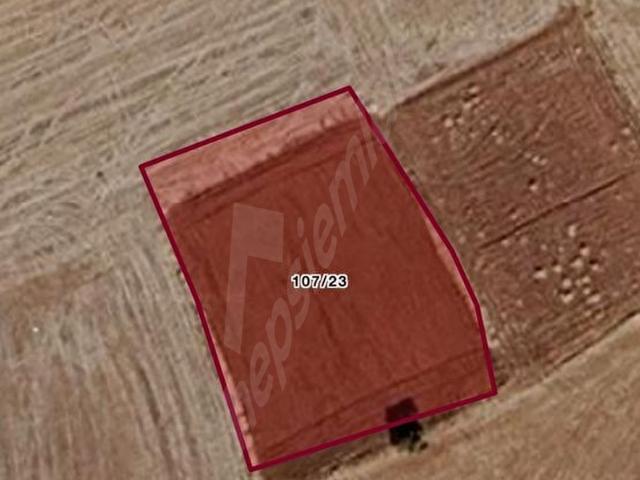 Uşak Karahallı Bekide UYGUN 1600m2 Tarla
