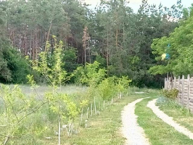 участок Орловщина