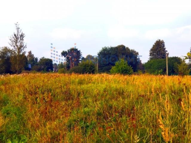 участок Арманиха с