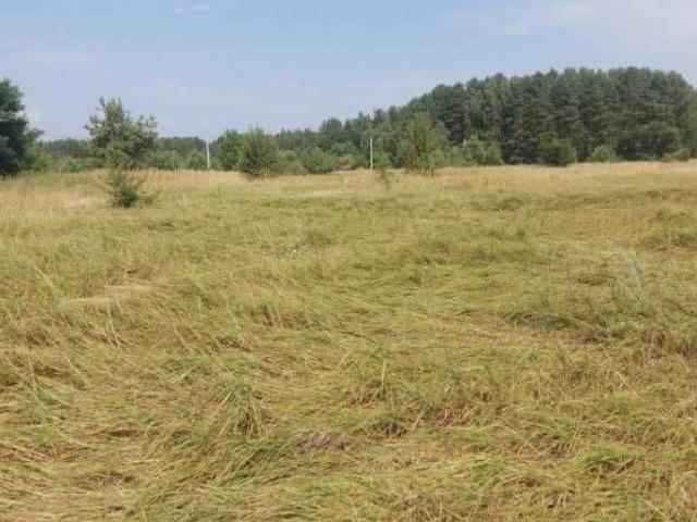 участок Ясногородка
