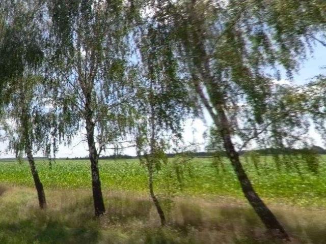 участок Ясногородка