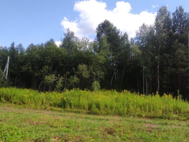 участок деревня Зубаниха