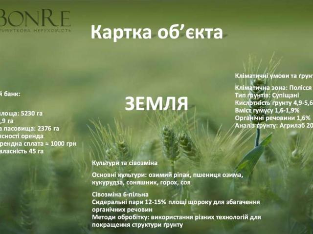 участок Козелец
