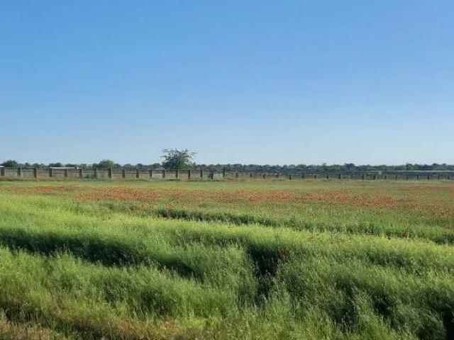 участок Красноярское с