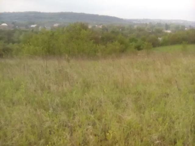участок Садгорский