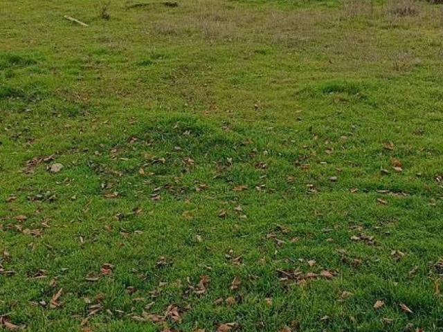 участок Воробьёво с