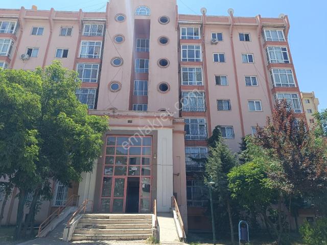 Üçkuyular Tokilerde Kiralik 1+1 Eşyalı Daire