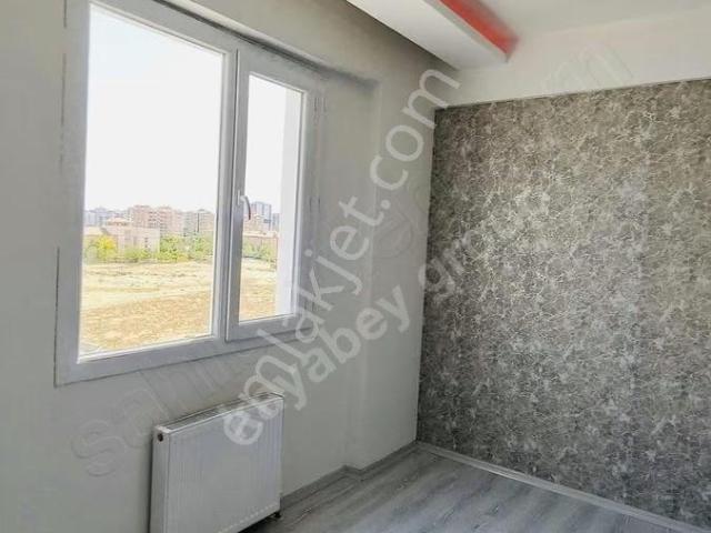 Üçkuyular Zirve Yapı Kiralık