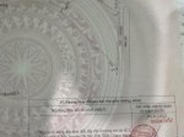 Đầu Tư Là Sinh Lời Cần Bán Đất Vườn Sầu Riêng Giá Ngộp Xã Mỹ Lợi B, Cái Bè, Tiền Giang