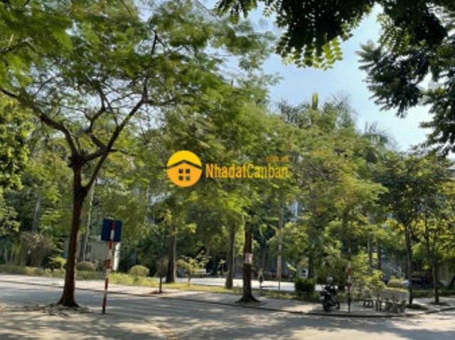 Đầu tư liền kề văn phú, hà đông 90m, mặt tiền 4.5m kinh doanh chỉ 10 tỷ