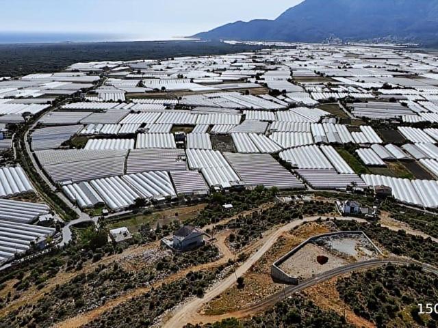 UĞUR'DAN KUMLUOVA KOCADAĞ DA DENİZ MANZARALI 730 M2 KÖŞE PARSEL