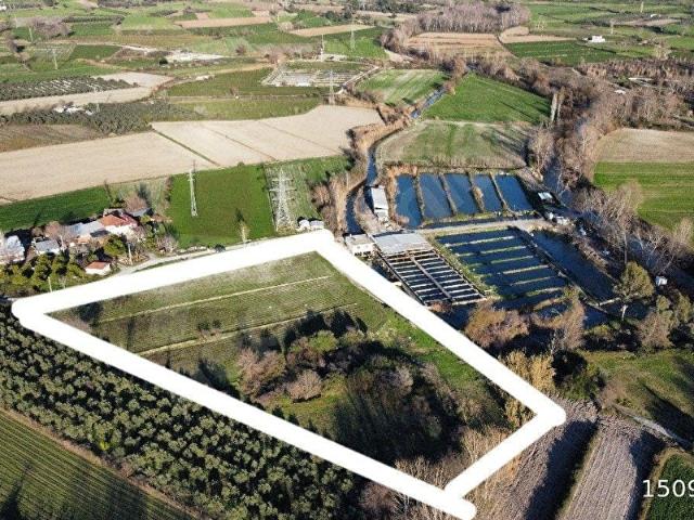 UĞURDAN SEYDİKEMER ÖRENDE 10.800M2 SATILIK ÇİFTLİK ARAZİSİ