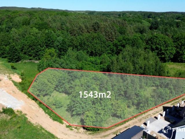 Łużycka 1 543 m², Zielona Góra