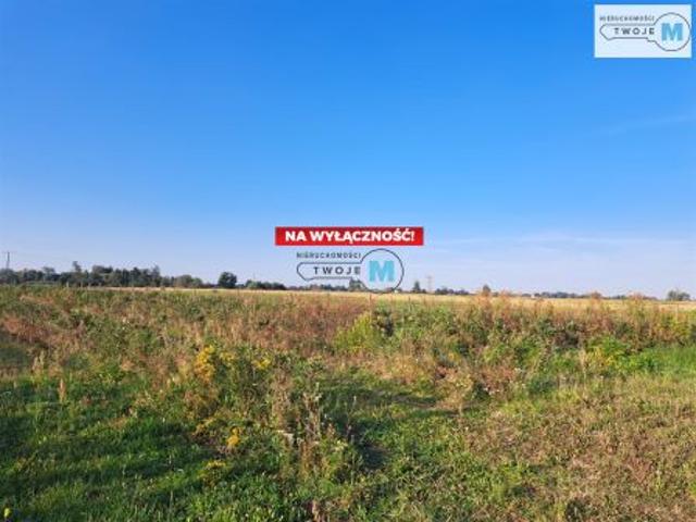 Czarzyzna, 22000 m² Działka
