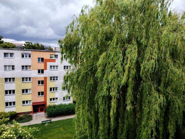 Żubardzka 41,23 m², Łódź