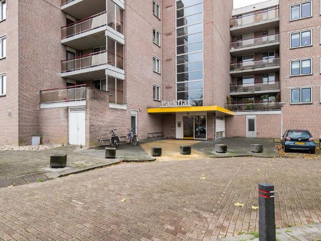 Ubbemastins 60 Leeuwarden