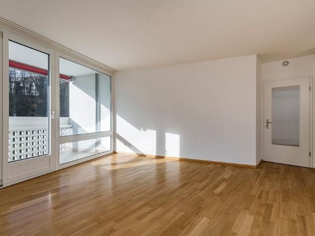 Über den Dächern von Basel