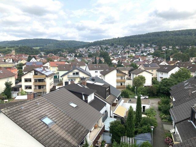 Über den Dächern von Leimen ganz oben ist es immer am schönsten !
