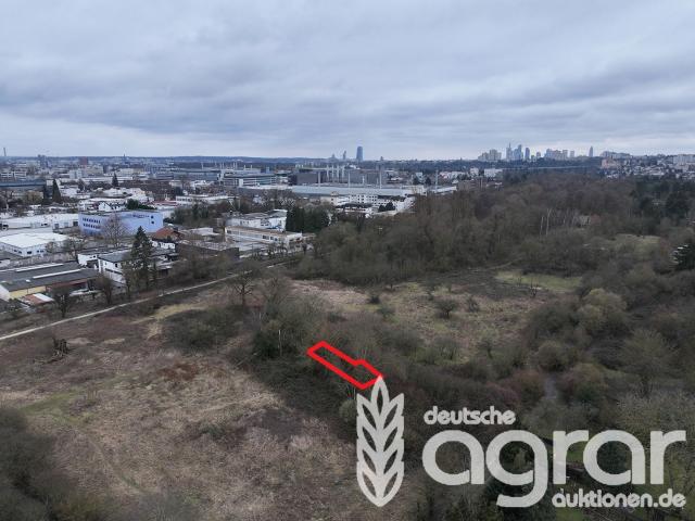 Überwucherte Grünfläche ca. 118 m² in Frankfurt am Main Seckbach