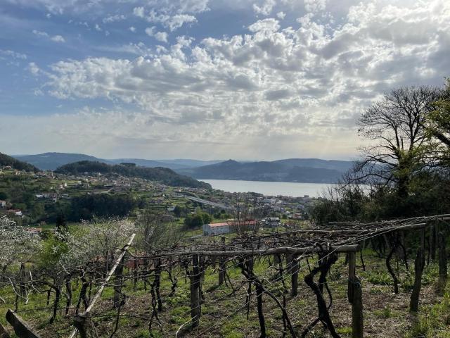 Ubicada a solo 5 minutos de Vigo, en la zona de San Adrián d. 190m² Vilaboa