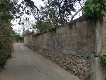 UBICADO TERRENO EN VENTA, EN EL PBLO. DE ALPUYECA, XOCHITEPEC, MORELOS